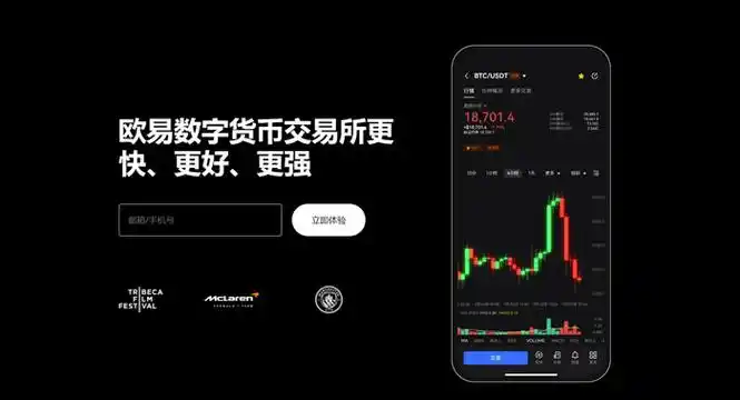 下载oyi页面展示